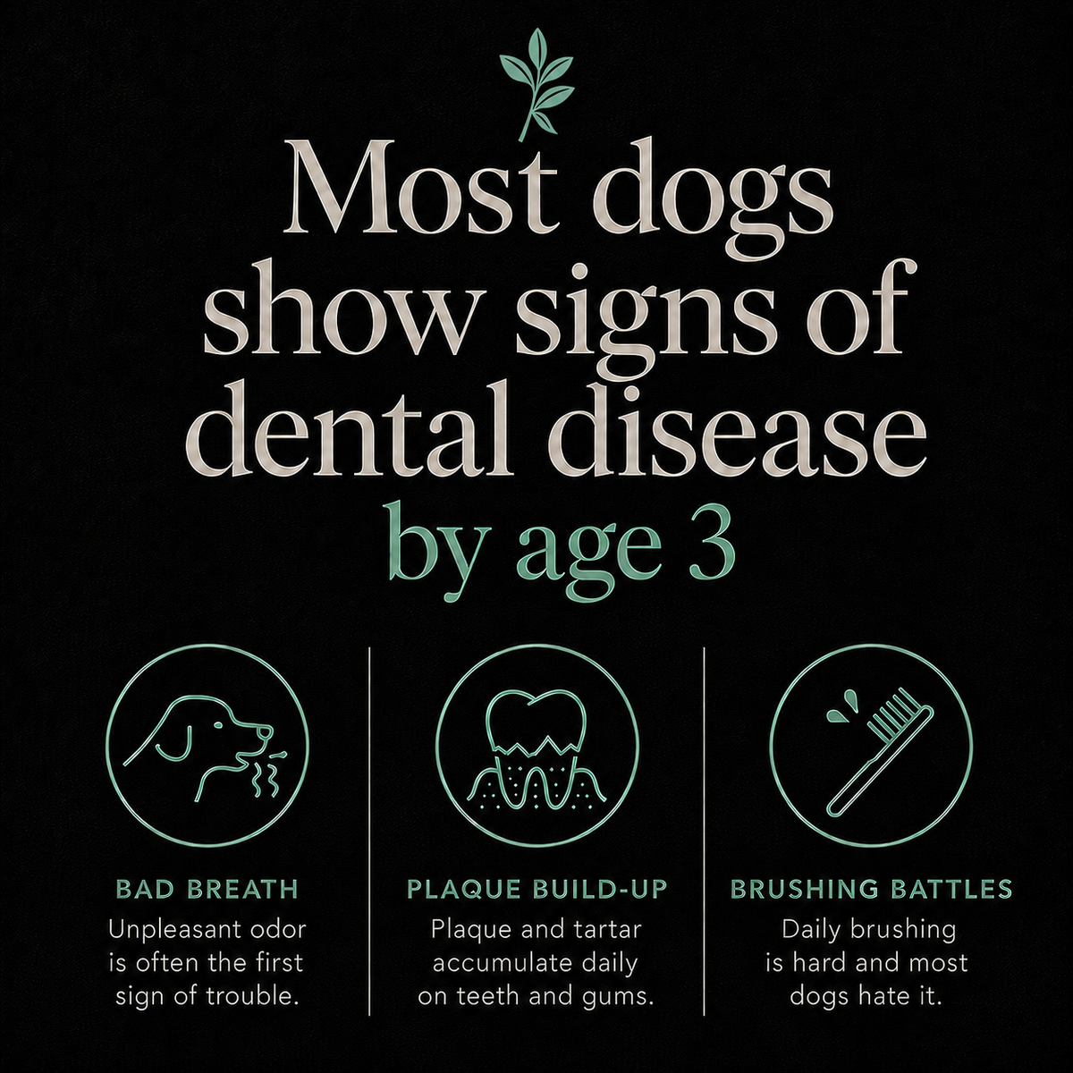 Kinwell — Daily Oral-Health Powder for Dogs