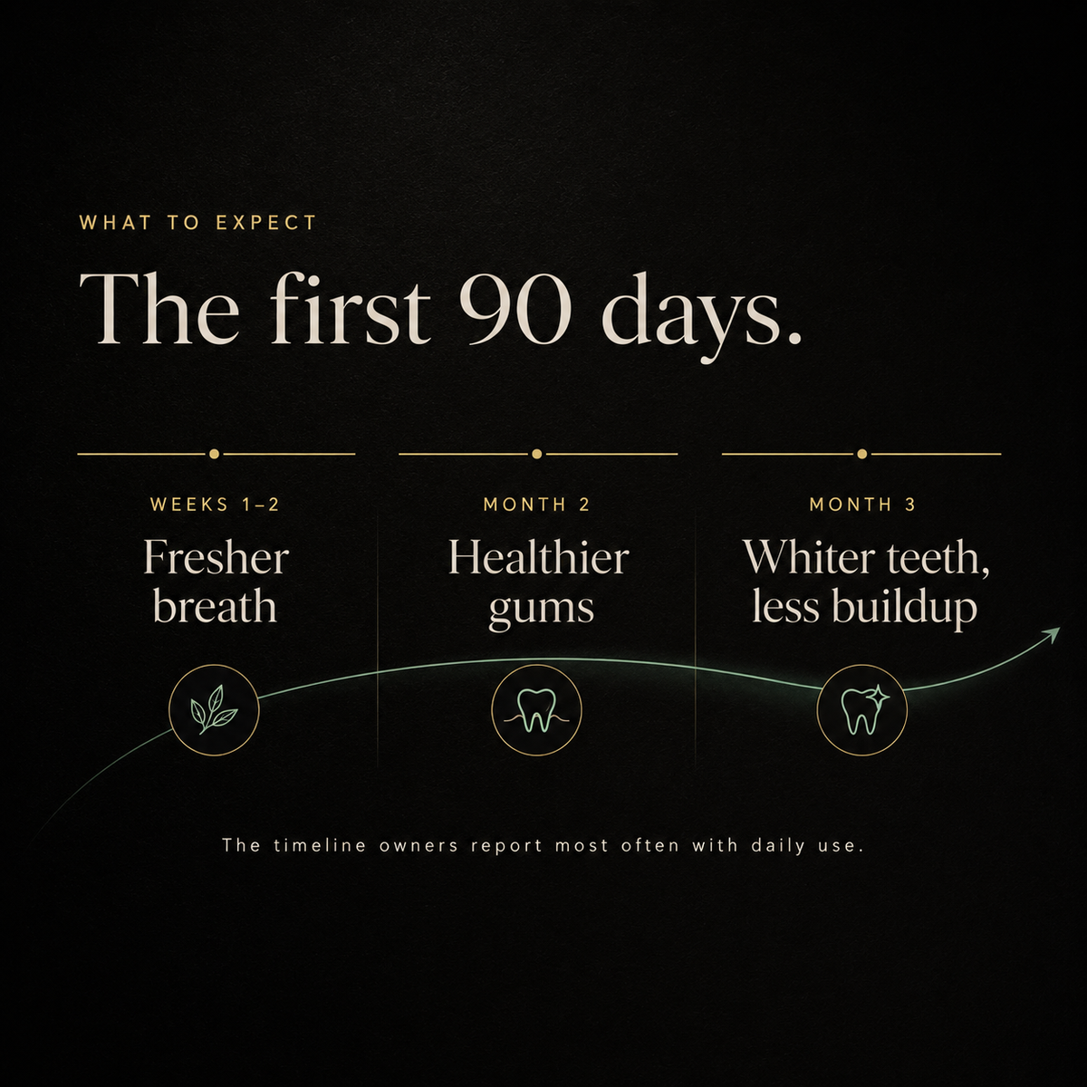 Kinwell — Daily Oral-Health Powder for Dogs