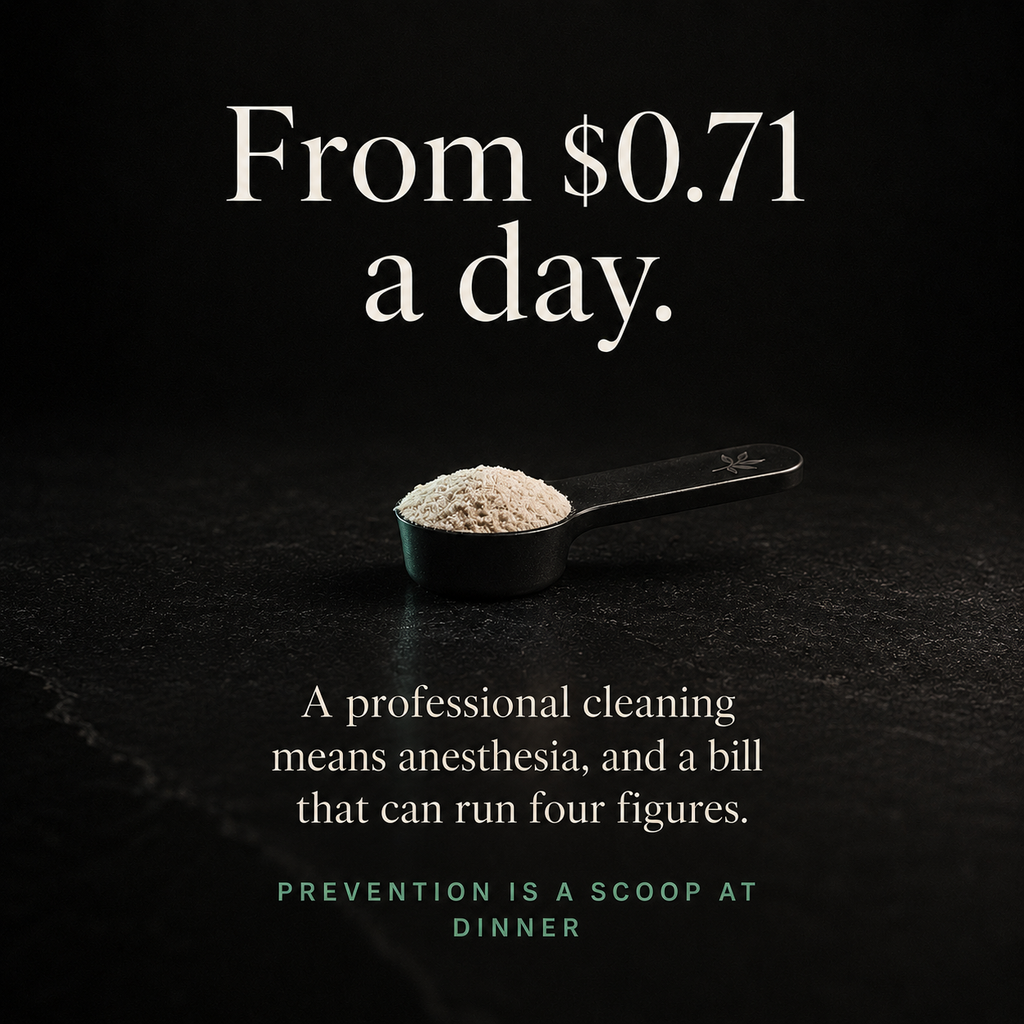 Kinwell — Daily Oral-Health Powder for Dogs